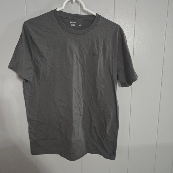 Hollister Other - Hollister Core Fit T-Shirt Mens Large Gray Short Sleeve Embroidered Logo